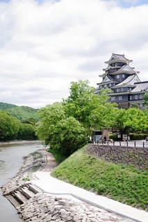 岡山城遠景.JPG